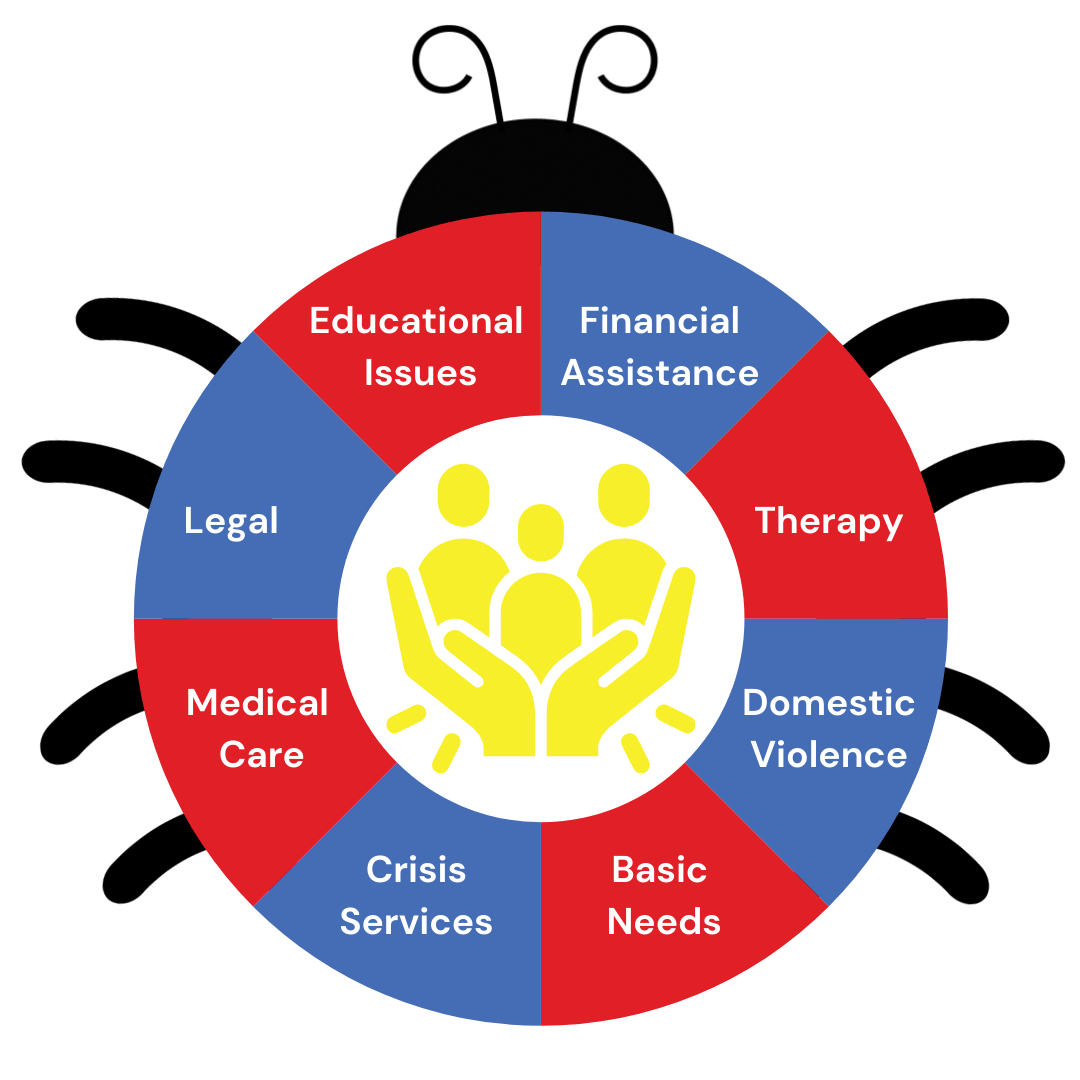 Pink Circle Diagram Self-Care Instagram Post (1)